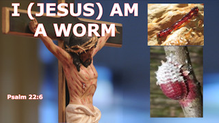 Bellator Christi;Cancaonova.com;FaceBook What does it mean that Jesus is a worm, Psalm 22:6