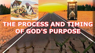 Boa Obras, Instagram Why is 'The process and timing of God's purpose' important?