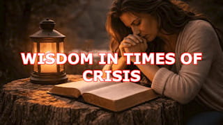 What is Wisdom in times of crisis?